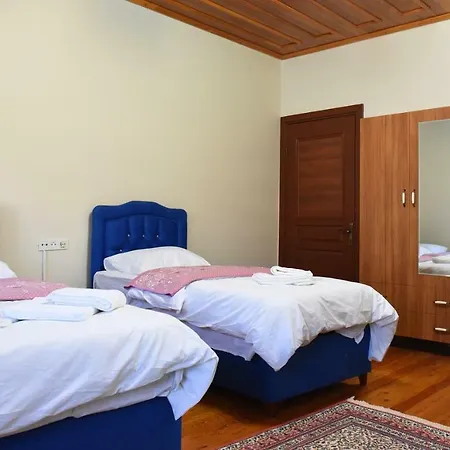 Oez Butik Antik Kent Myrleia Szálloda 2*
